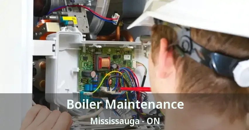 Boiler Maintenance Mississauga - ON
