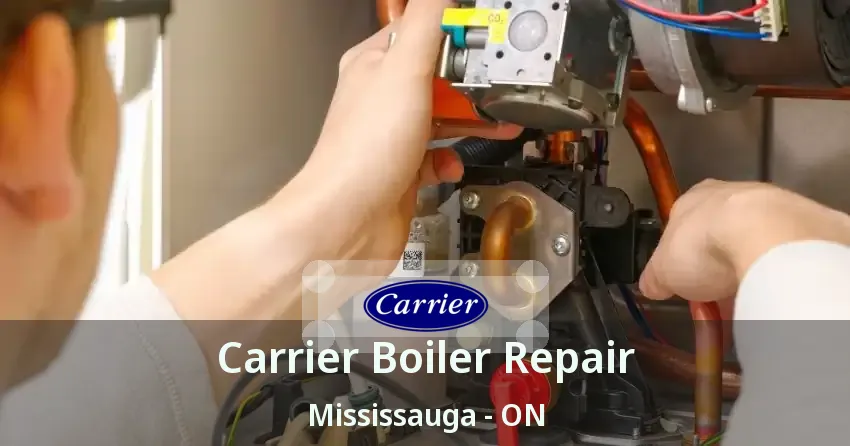 Carrier Boiler Repair Mississauga - ON