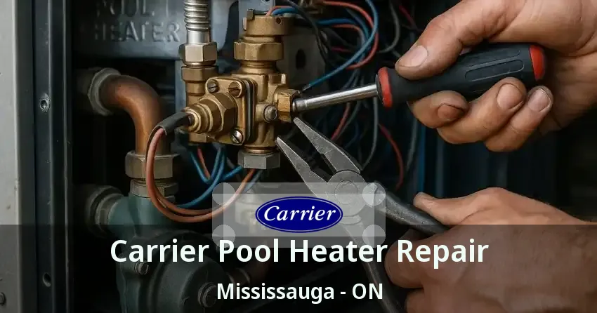 Carrier Pool Heater Repair Mississauga - ON
